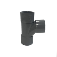 Culotte en T 87  - D.32 Femelle/Femelle